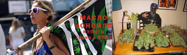 прущие грибы Бородино