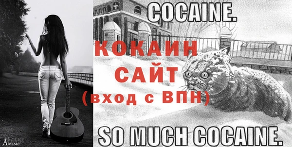 прущие грибы Бородино