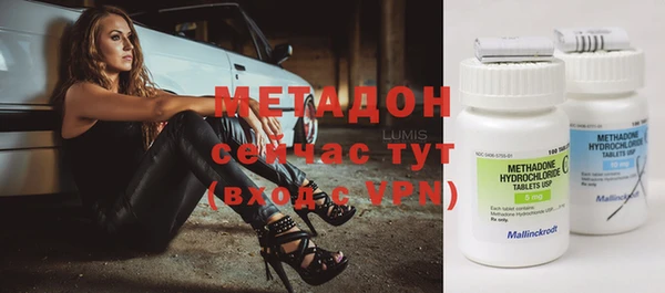 прущие грибы Бородино