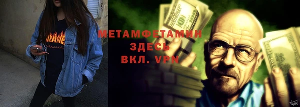 прущие грибы Бородино