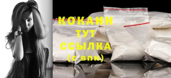 прущие грибы Бородино
