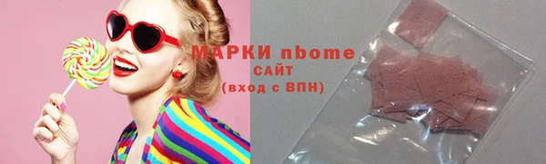 прущие грибы Бородино
