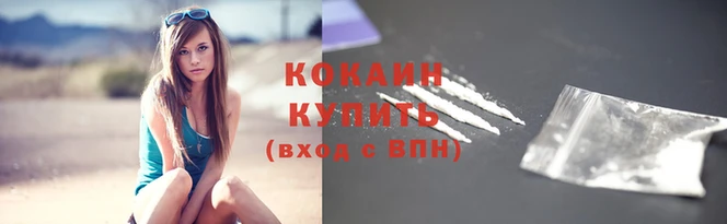 прущие грибы Бородино