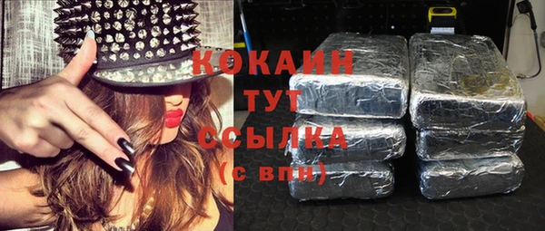 прущие грибы Бородино