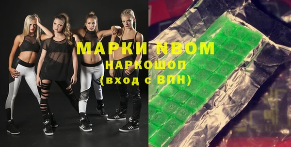 прущие грибы Бородино