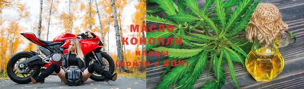 прущие грибы Бородино