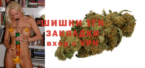 прущие грибы Бородино