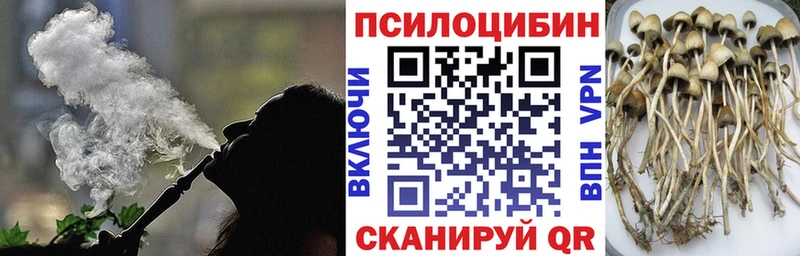 Псилоцибиновые грибы прущие грибы  Горно-Алтайск 